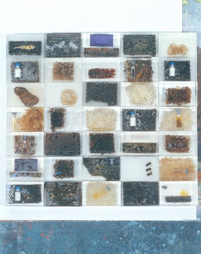 Bienenharzabgüsse von Charlie Millar